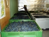 MiaValleyEstate-Images14