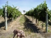 MiaValleyEstate-Images23