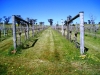 MiaValleyEstate-Images25