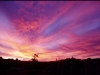 photo4_big